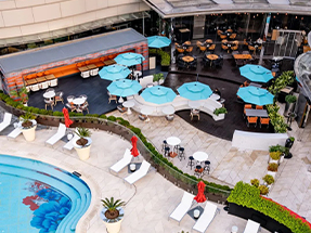 2024 Pantone春（chūn）夏流行色發（fā）布 | 清（qīng）新活（huó）力的配色靈感