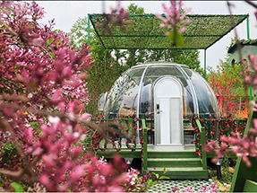 網紅餐飲星空房