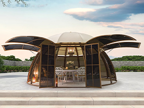 飛碟星空房（fáng）-木紋色